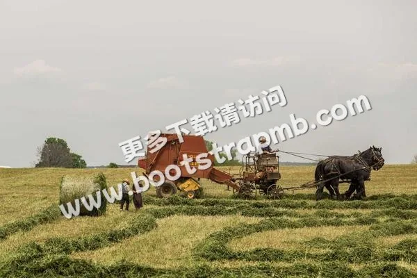 ⊞ Portfolio - C7娱乐taiyun